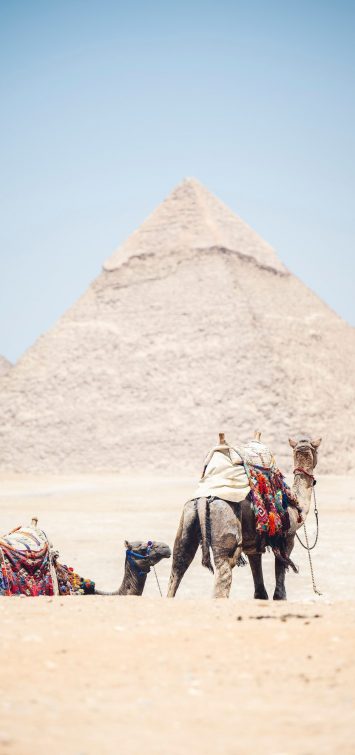 Pyramiden von Gizeh beim privaten Kairo-Ausflug